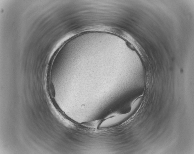 X0000087591139200705112256