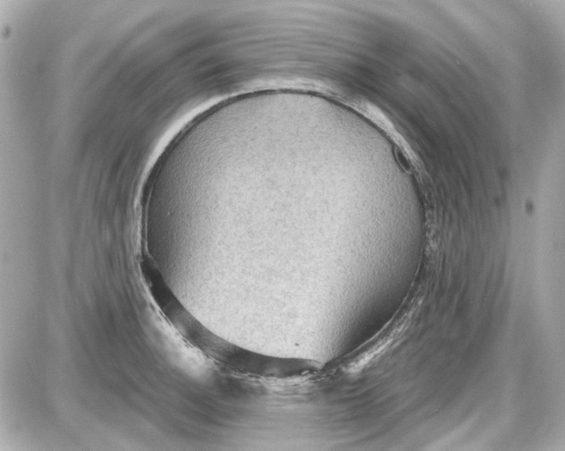 X0000087591140200705112256