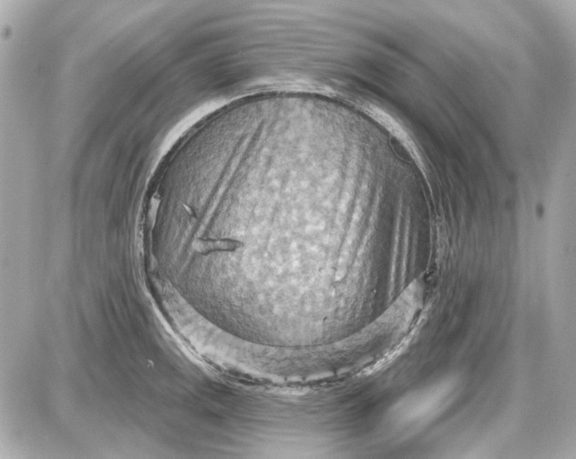 X0000087591141200705112256