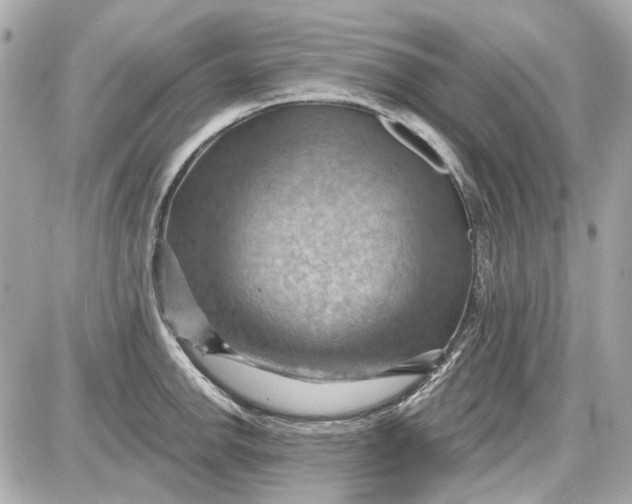 X0000087591142200705112257