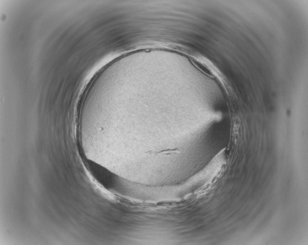 X0000087591143200705112257