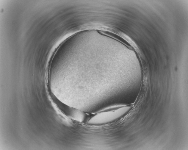 X0000087591144200705112257