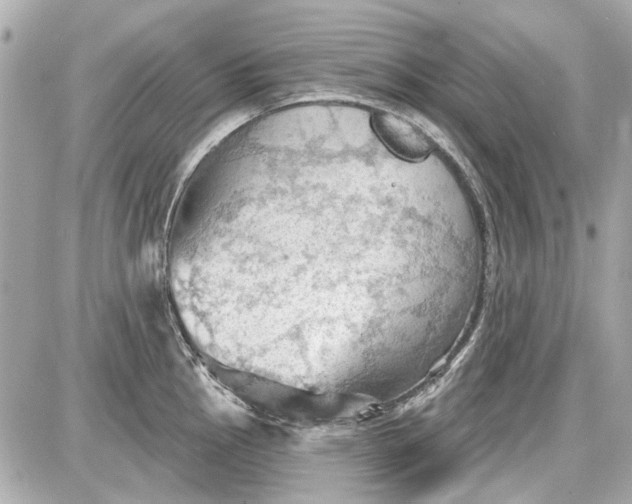 X0000087591145200705112257