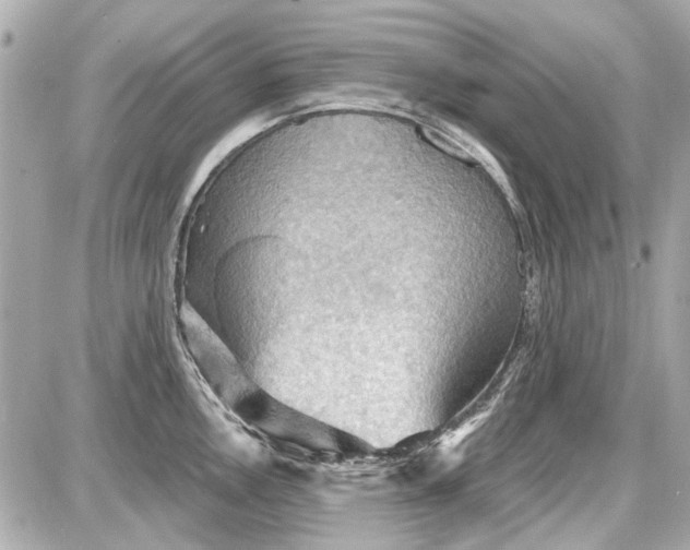 X0000087591146200705112257