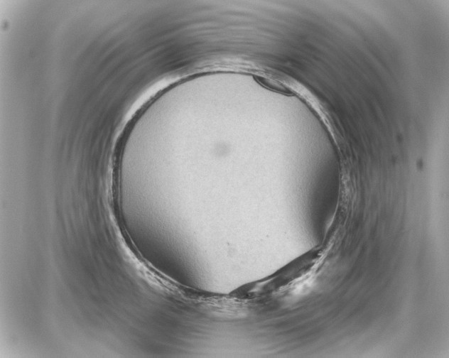 X0000087591147200705112257