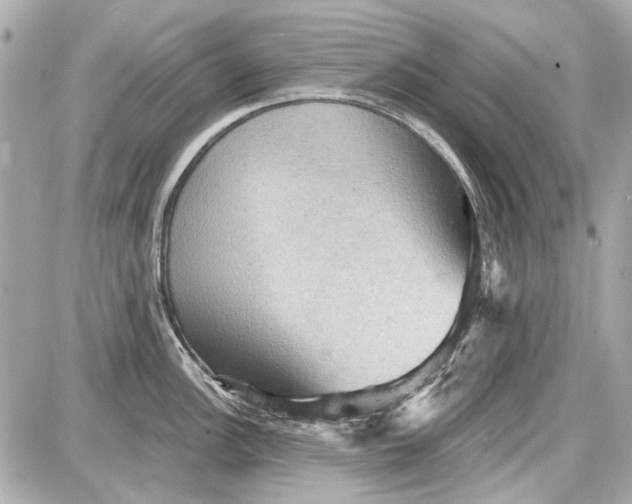 X0000087591148200705112257