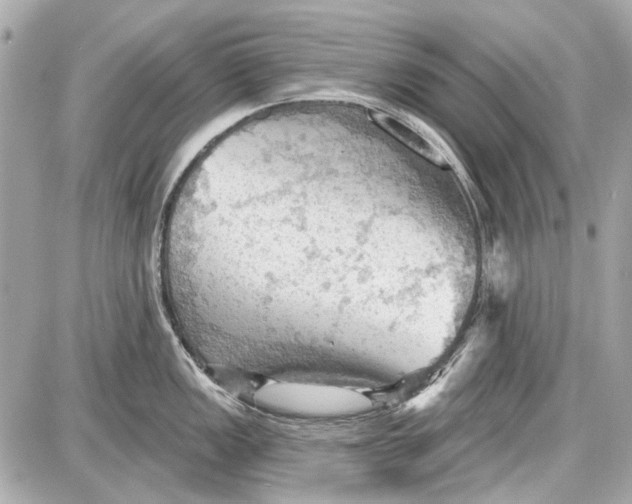 X0000087591149200705112257