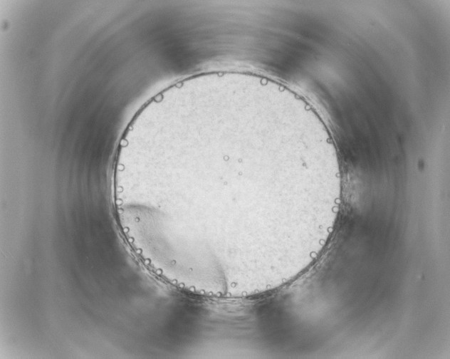 X0000087591150200705112257