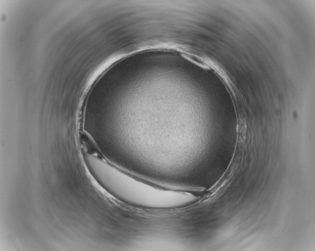 X0000087591151200705112257