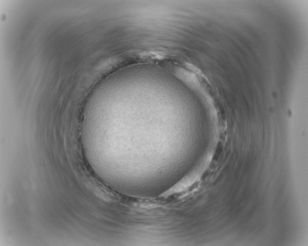 X0000087591153200705112256