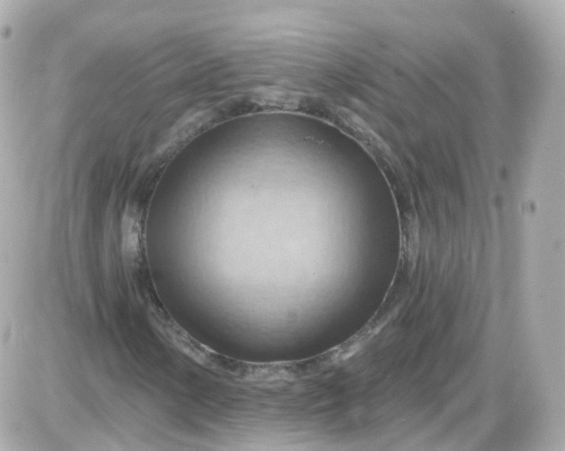 X0000087591154200705112256