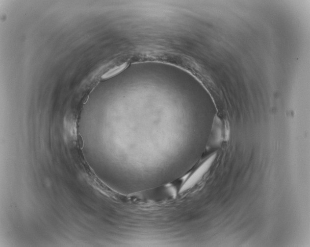 X0000087591155200705112256