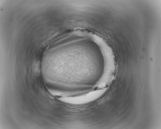 X0000087591156200705112256