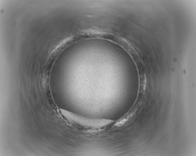 X0000087591157200705112256