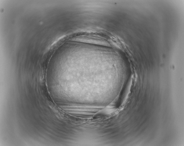 X0000087591158200705112256