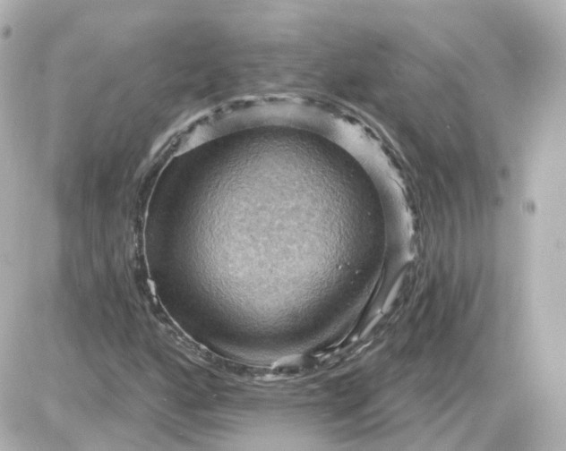 X0000087591160200705112256