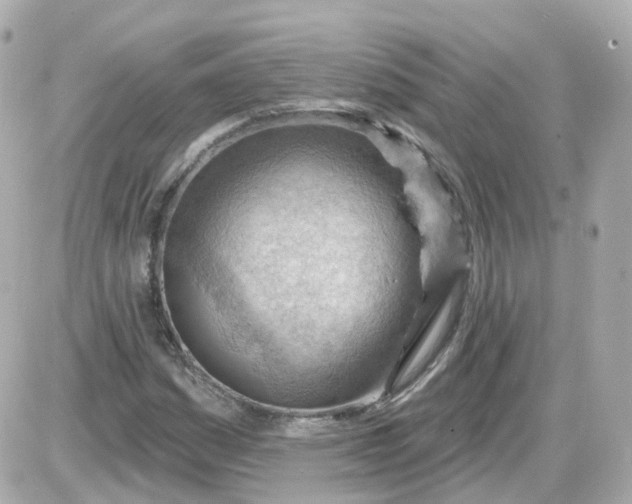 X0000087591161200705112256