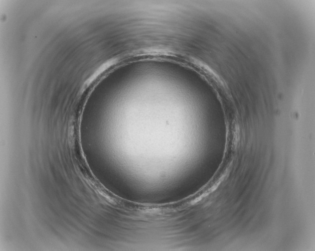 X0000087591162200705112256