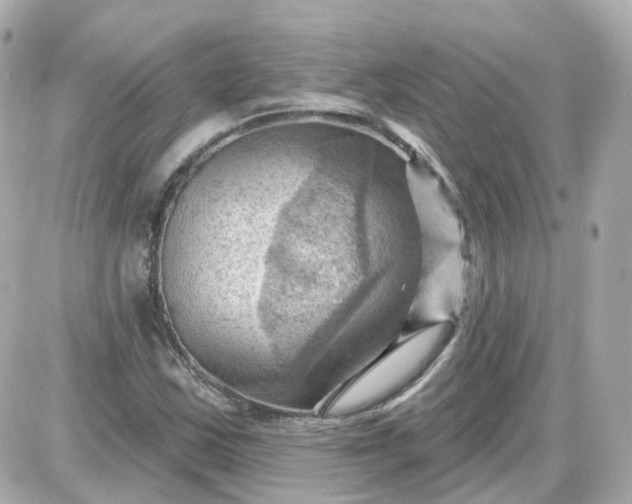 X0000087591163200705112256