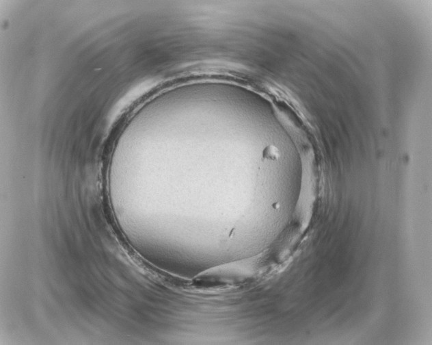 X0000087591164200705112256