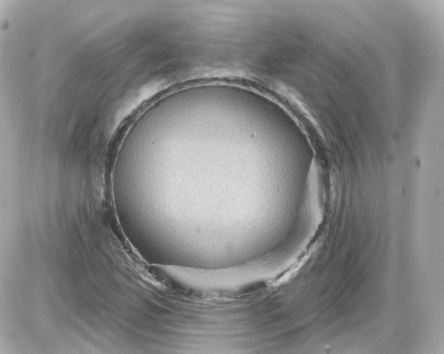 X0000087591165200705112256