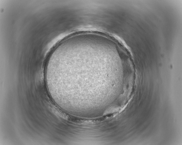 X0000087591167200705112256