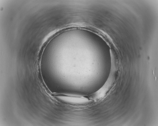 X0000087591168200705112256