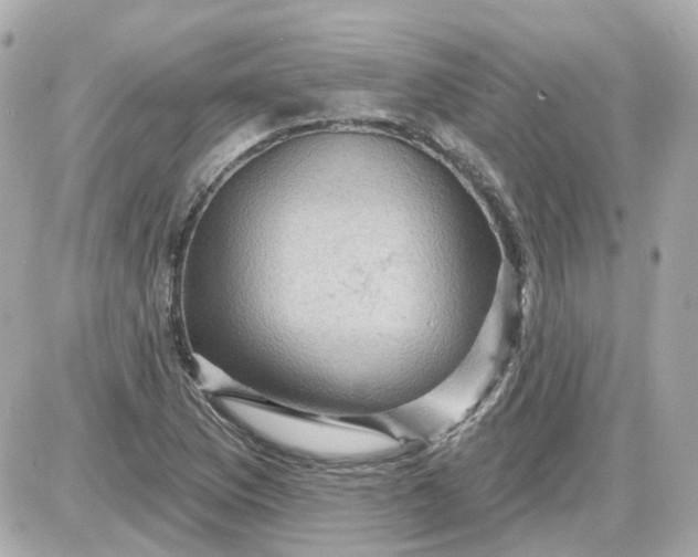 X0000087591169200705112256