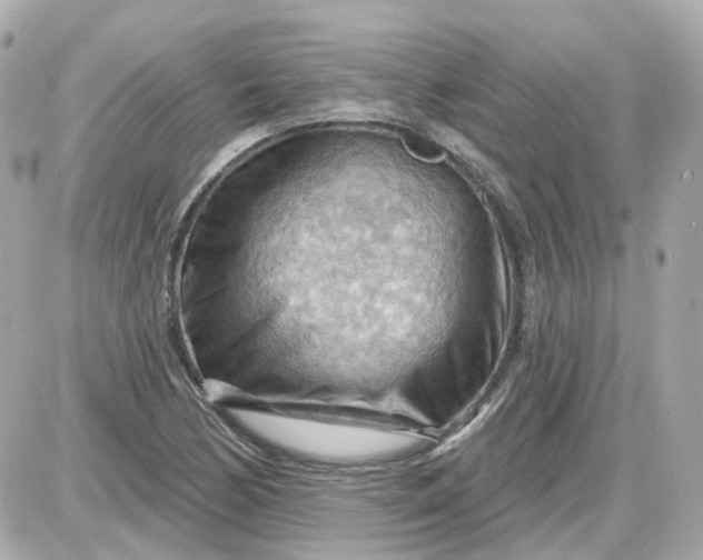 X0000087591170200705112256