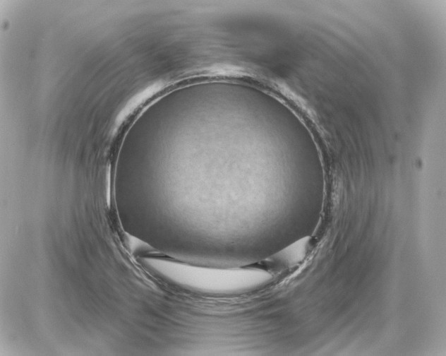 X0000087591171200705112256