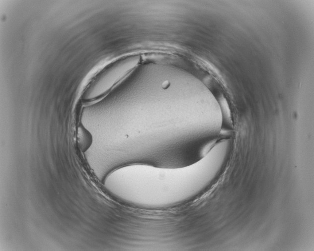 X0000087591172200705112256