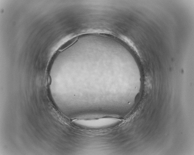 X0000087591173200705112256