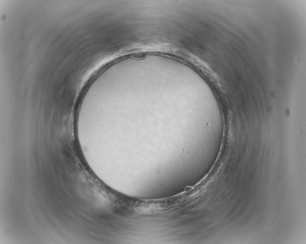 X0000087591174200705112256