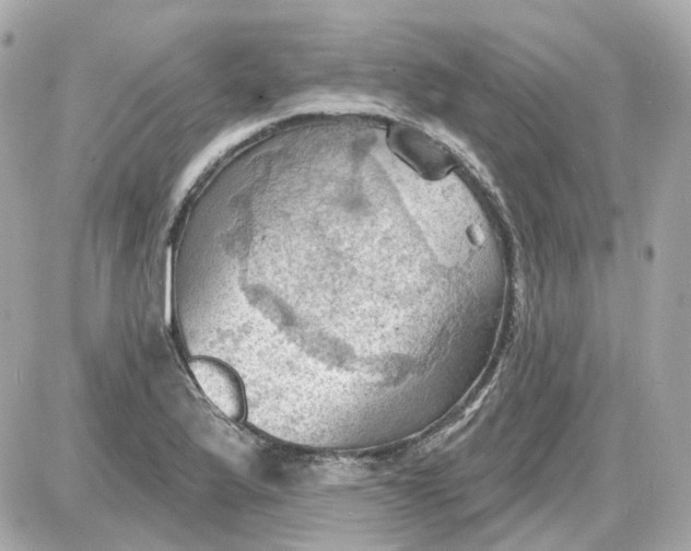 X0000087591175200705112256