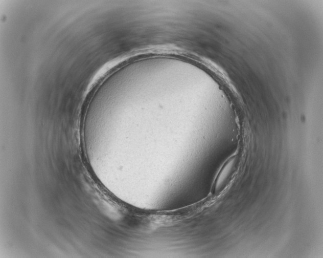 X0000087591176200705112256