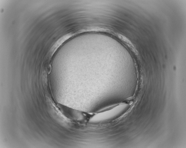 X0000087591177200705112255