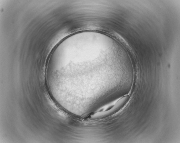 X0000087591178200705112255