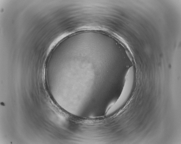 X0000087591179200705112255