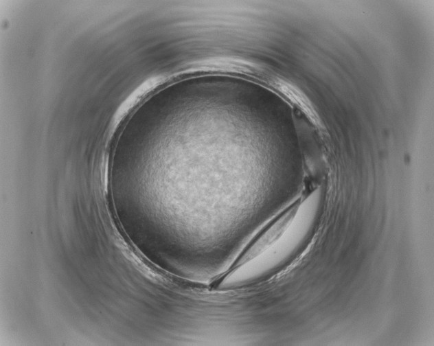 X0000087591180200705112255