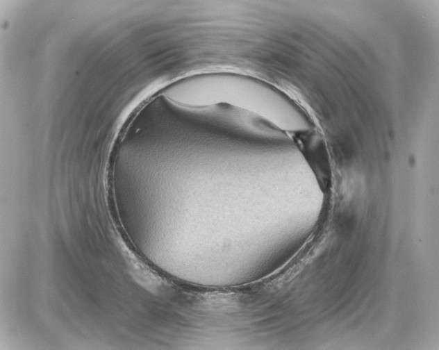 X0000087591181200705112255