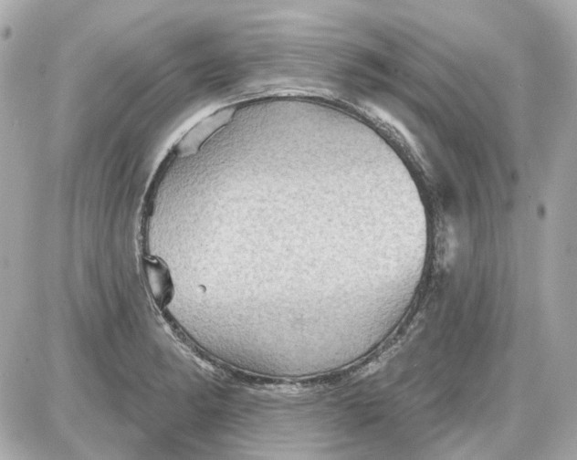 X0000087591182200705112255