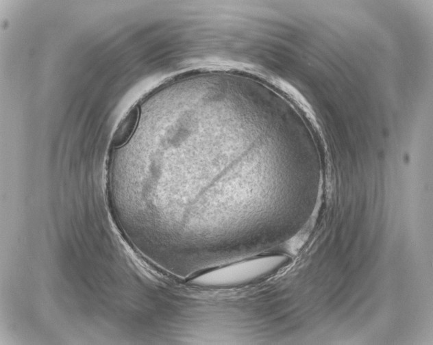 X0000087591183200705112255