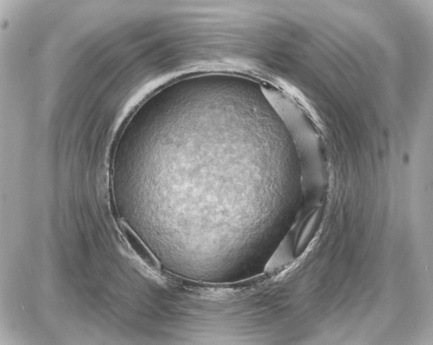 X0000087591184200705112255