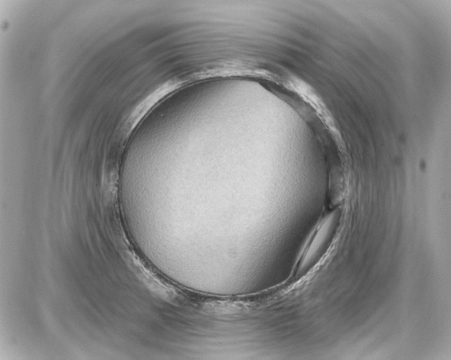 X0000087591185200705112255