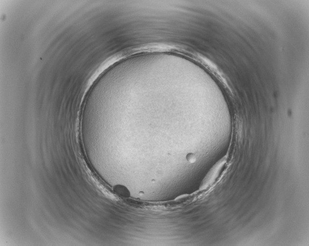 X0000087591186200705112255