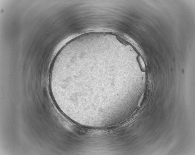 X0000087591187200705112255