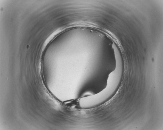 X0000087591188200705112255