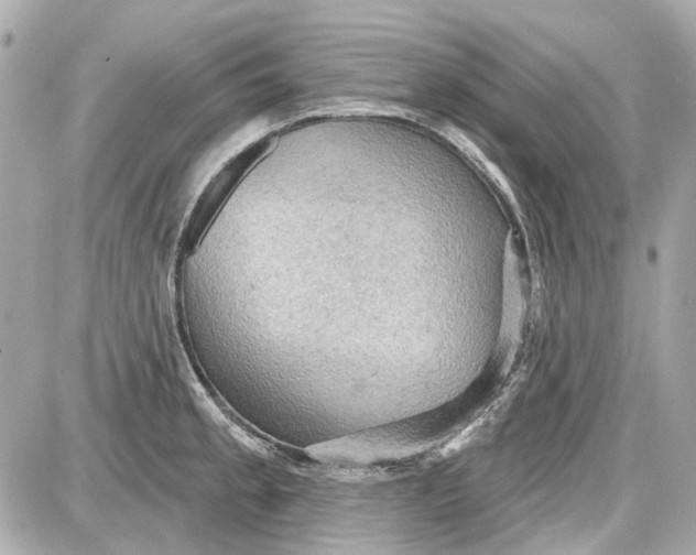 X0000087591189200705112255