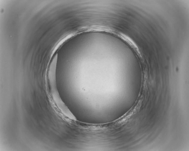 X0000087591190200705112255