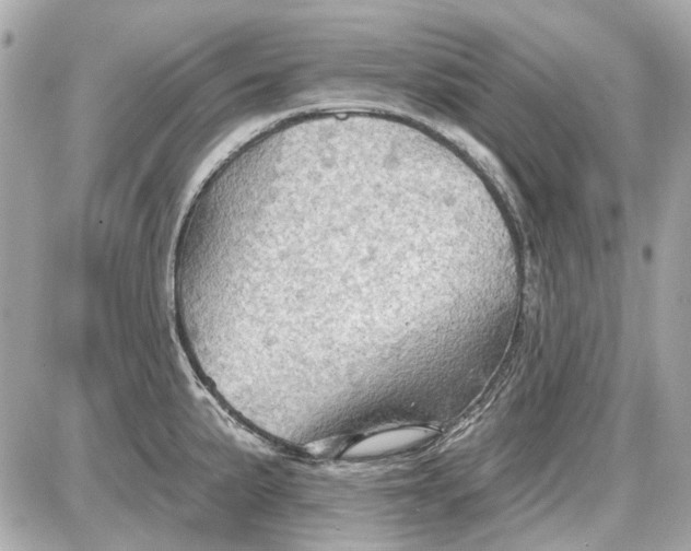 X0000087591191200705112255